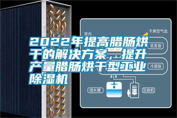 2022年提高臘腸烘干的解決方案，提升產(chǎn)量臘腸烘干型工業(yè)除濕機