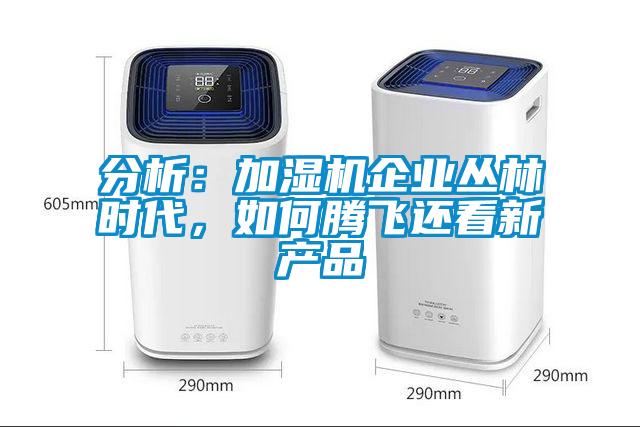 分析：加濕機企業(yè)叢林時代，如何騰飛還看新產品