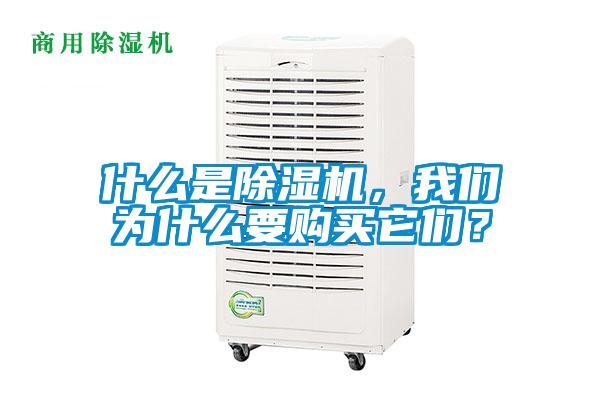 什么是除濕機，我們為什么要購買它們？