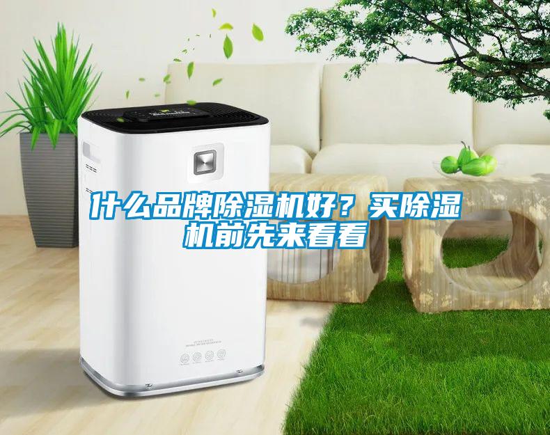 什么品牌除濕機好？買除濕機前先來看看