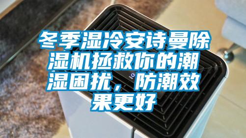 冬季濕冷安詩曼除濕機拯救你的潮濕困擾，防潮效果更好