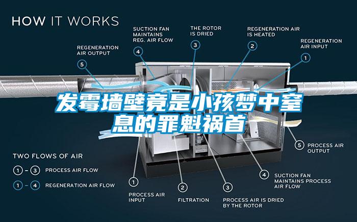 發霉墻壁竟是小孩夢中窒息的罪魁禍首