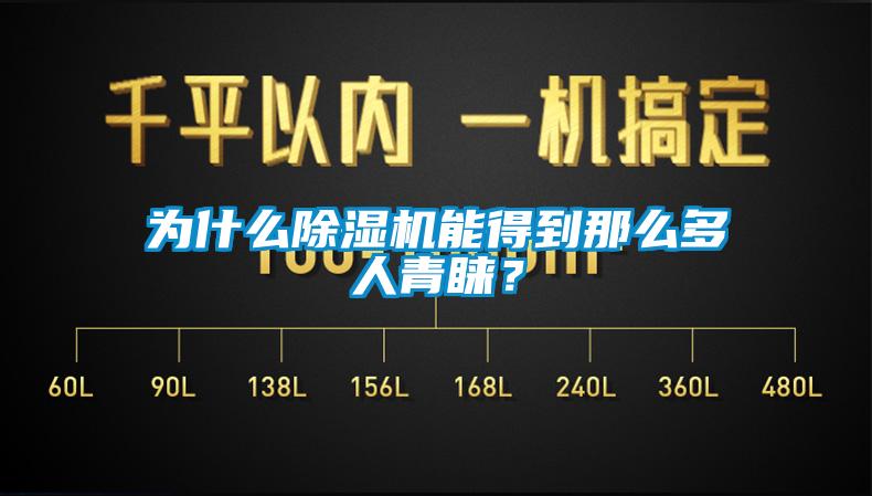 為什么除濕機能得到那么多人青睞？