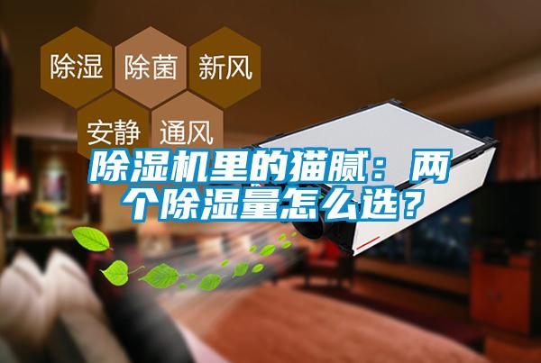 除濕機里的貓膩：兩個除濕量怎么選？