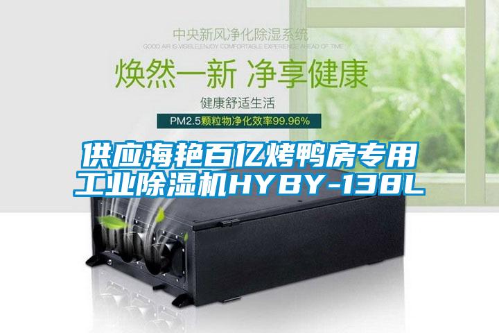 供應海艷百億烤鴨房專用工業除濕機HYBY-138L