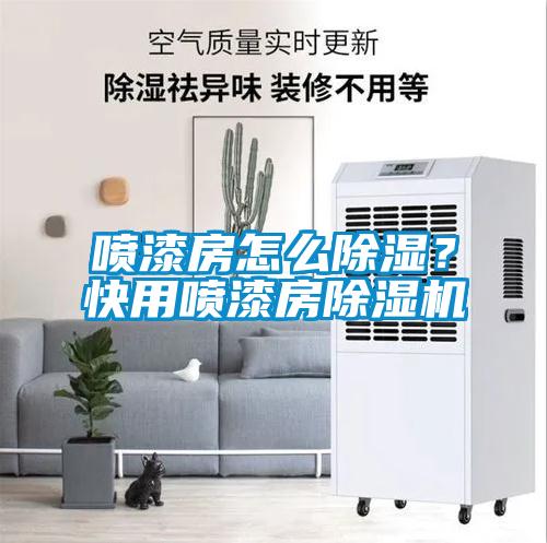 噴漆房怎么除濕？快用噴漆房除濕機(jī)