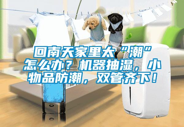 回南天家里太“潮”怎么辦？機(jī)器抽濕，小物品防潮，雙管齊下！