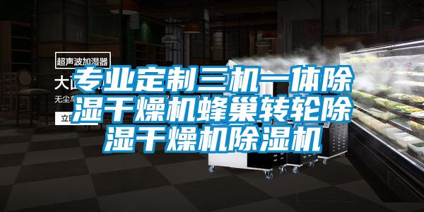 專業定制三機一體除濕干燥機蜂巢轉輪除濕干燥機除濕機