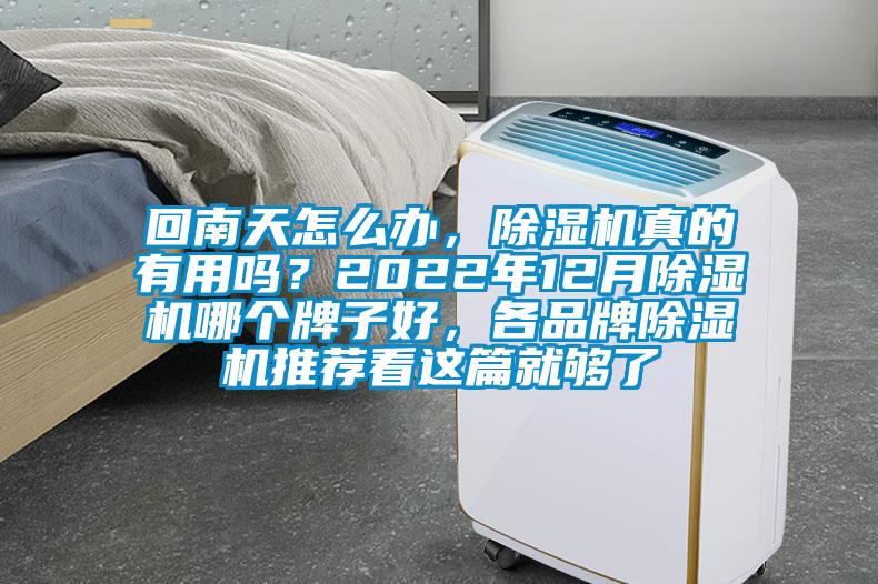 回南天怎么辦，除濕機真的有用嗎？2022年12月除濕機哪個牌子好，各品牌除濕機推薦看這篇就夠了