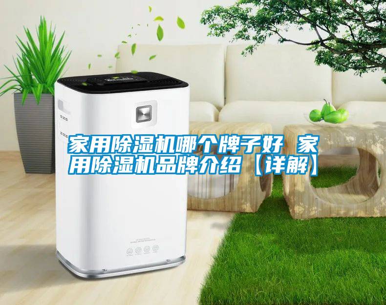 家用除濕機哪個牌子好 家用除濕機品牌介紹【詳解】