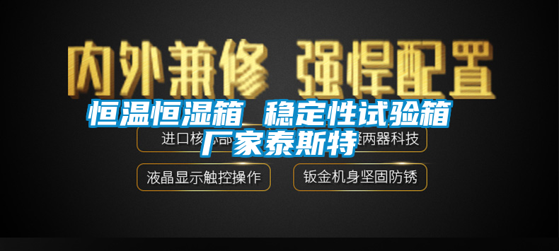 恒溫恒濕箱 穩定性試驗箱 廠家泰斯特