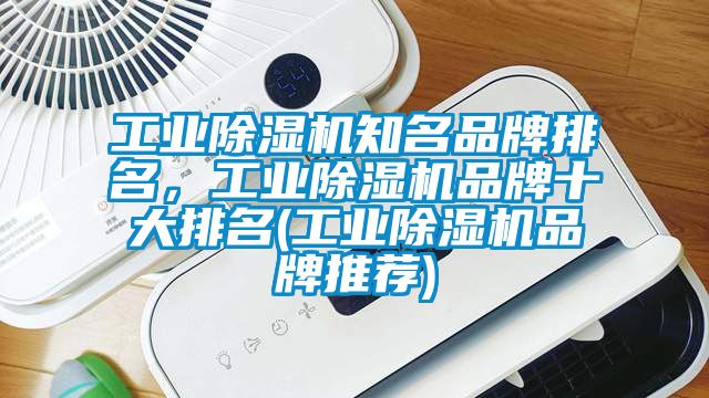 工業除濕機知名品牌排名，工業除濕機品牌十大排名(工業除濕機品牌推薦)