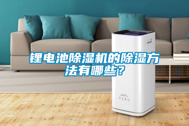 鋰電池除濕機的除濕方法有哪些？