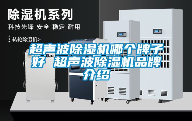 超聲波除濕機哪個牌子好 超聲波除濕機品牌介紹