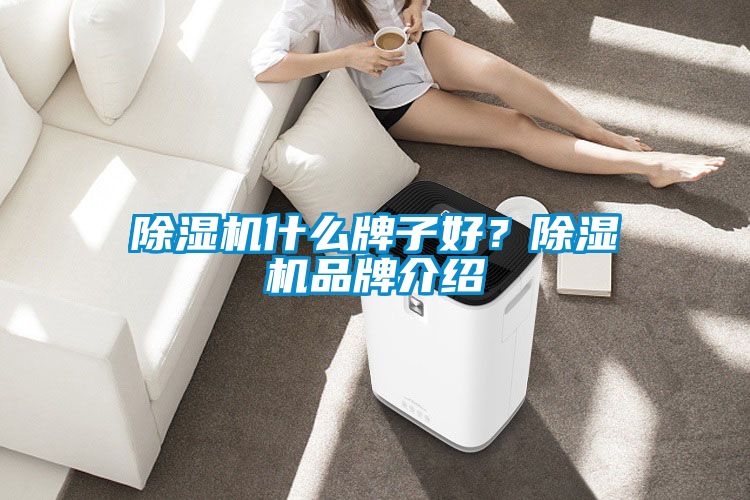 除濕機(jī)什么牌子好？除濕機(jī)品牌介紹