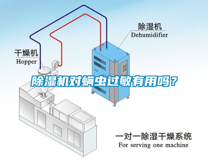 除濕機對螨蟲過敏有用嗎？