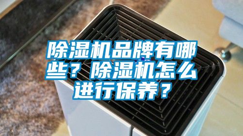 除濕機品牌有哪些？除濕機怎么進行保養？