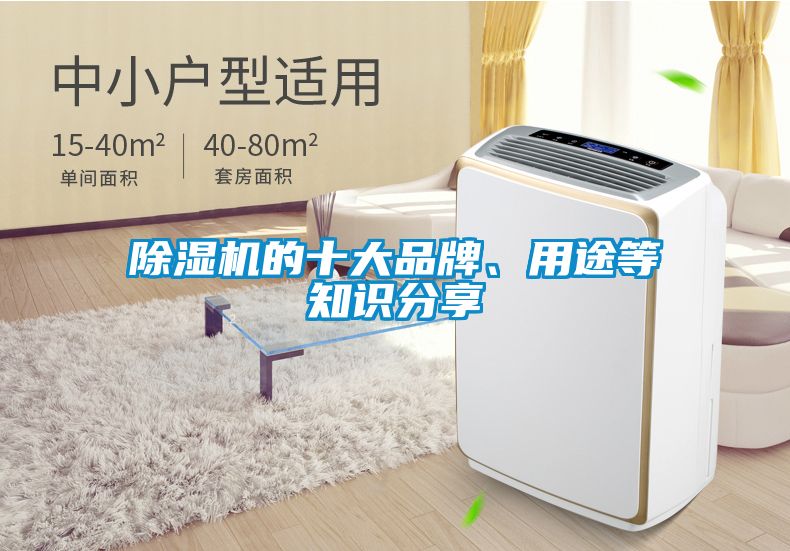 除濕機(jī)的十大品牌、用途等知識(shí)分享