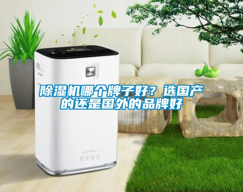 除濕機哪個牌子好？選國產的還是國外的品牌好