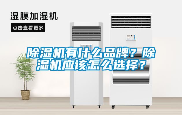 除濕機有什么品牌？除濕機應該怎么選擇？