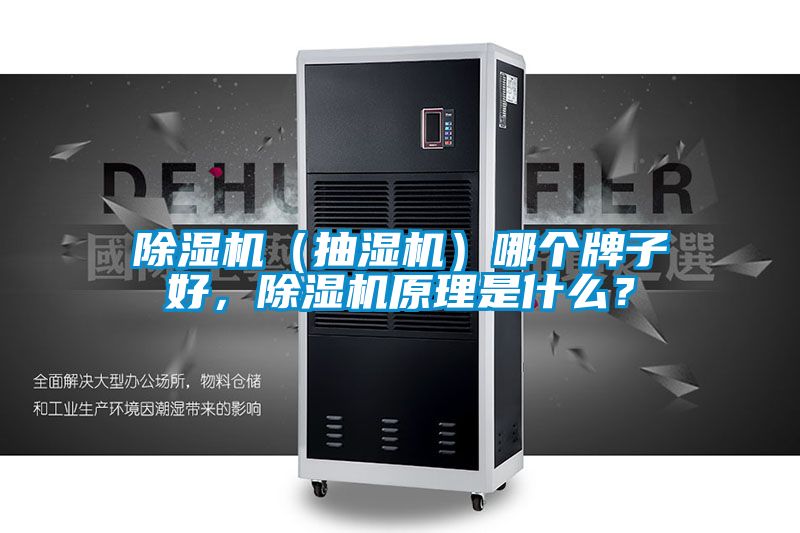 除濕機（抽濕機）哪個牌子好，除濕機原理是什么？