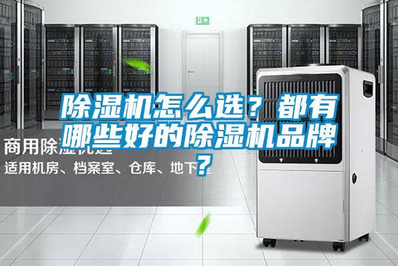 除濕機怎么選？都有哪些好的除濕機品牌？