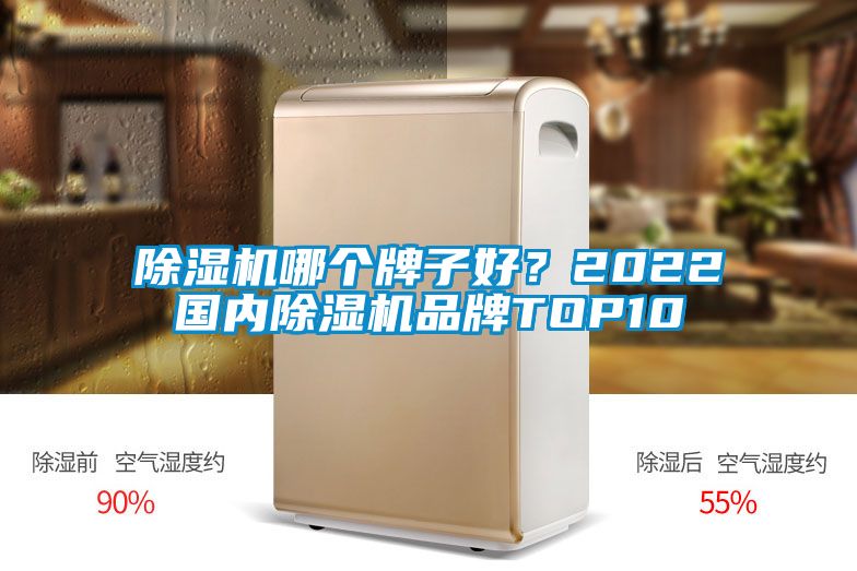 除濕機哪個牌子好？2022國內除濕機品牌TOP10