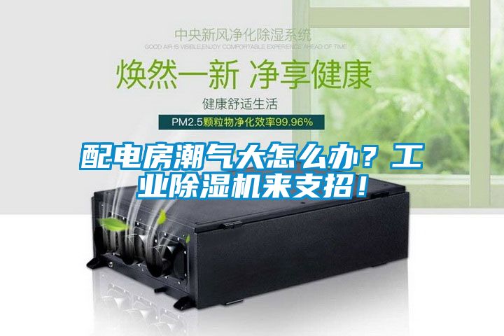 配電房潮氣大怎么辦？工業(yè)除濕機(jī)來支招！