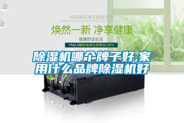 除濕機(jī)哪個牌子好,家用什么品牌除濕機(jī)好